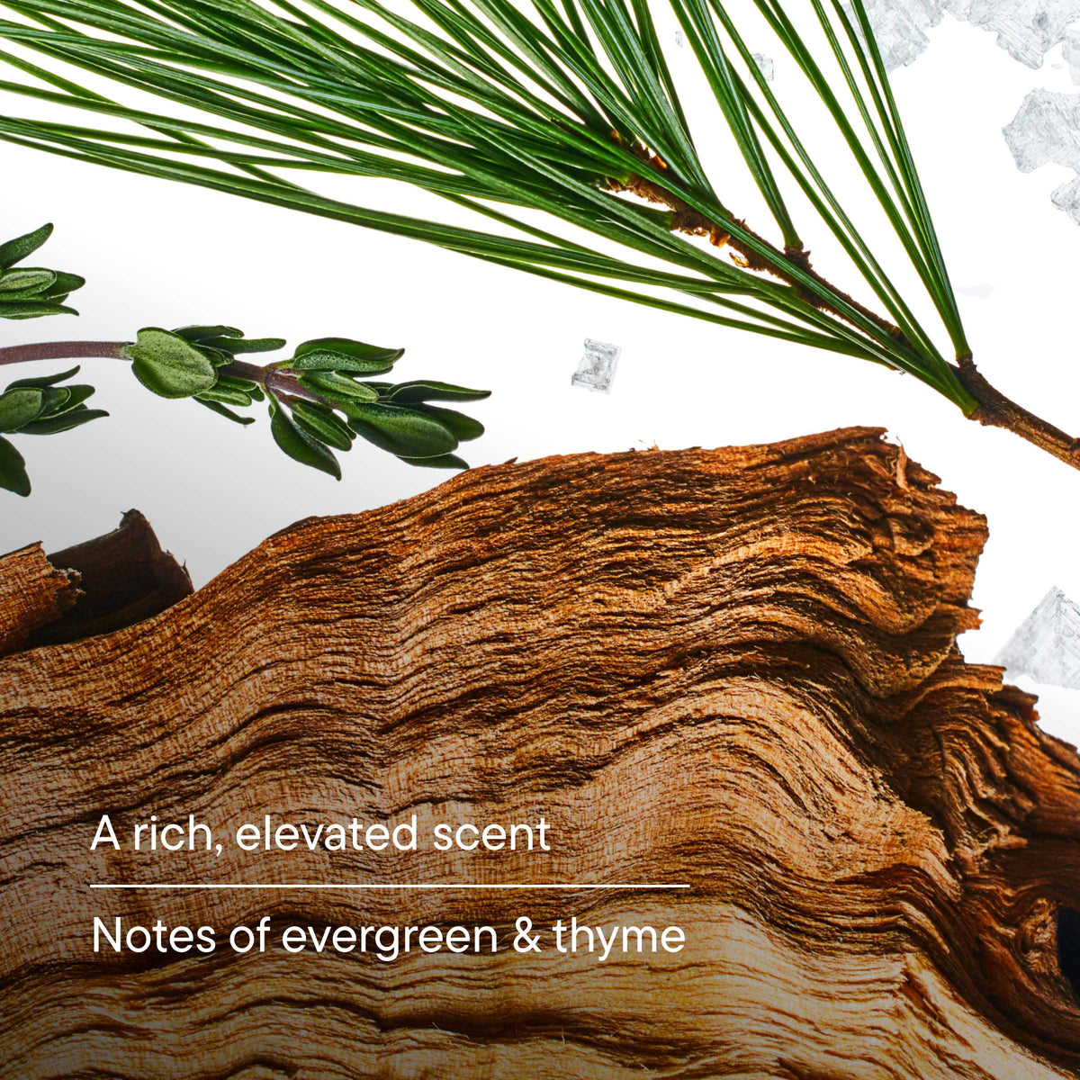 Redwood Body Wash 3.4oz